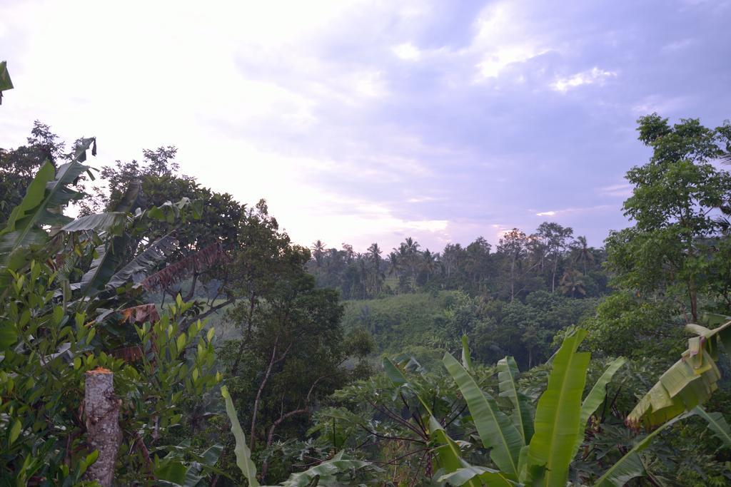 Pondok Bali Ubud  Exterior photo
